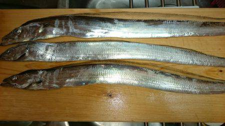 1時間勝負(移動込み)