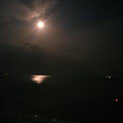 タチタチ釣りました