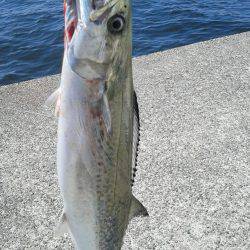 ポーアイ沖にて