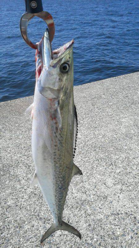 ポーアイ沖にて