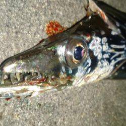 当たりはチョンだけ