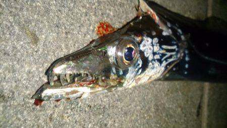 当たりはチョンだけ