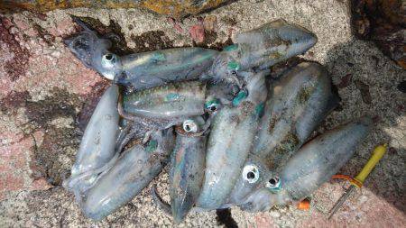 いつもの㊙場所