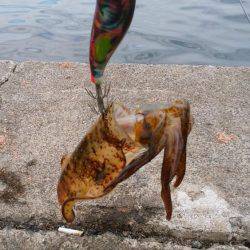 好調なのにこの日は激々シブ！？