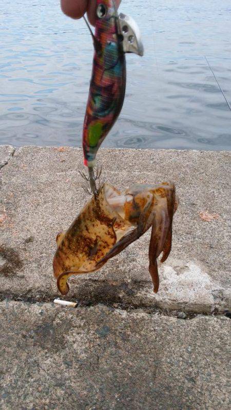 好調なのにこの日は激々シブ！？