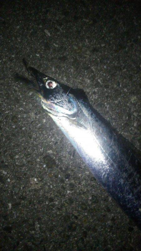 友人家族とワインド