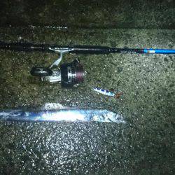 水軒でミニタチ