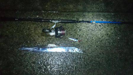 水軒でミニタチ