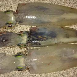 爆風が止んだ瞬間