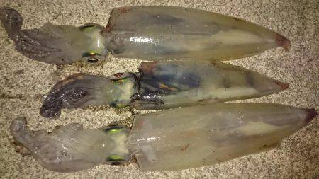 爆風が止んだ瞬間