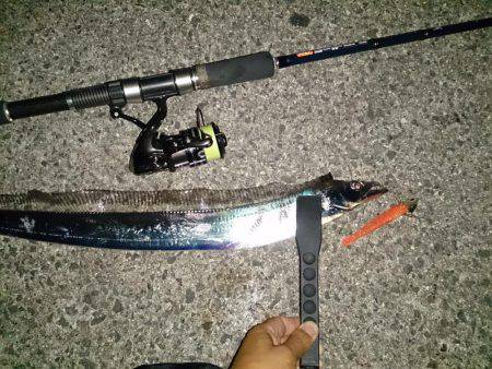 サイズは選べません