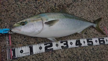 サイズアップ！