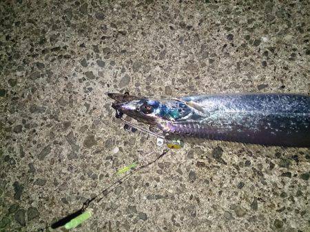 ショ―トバイト