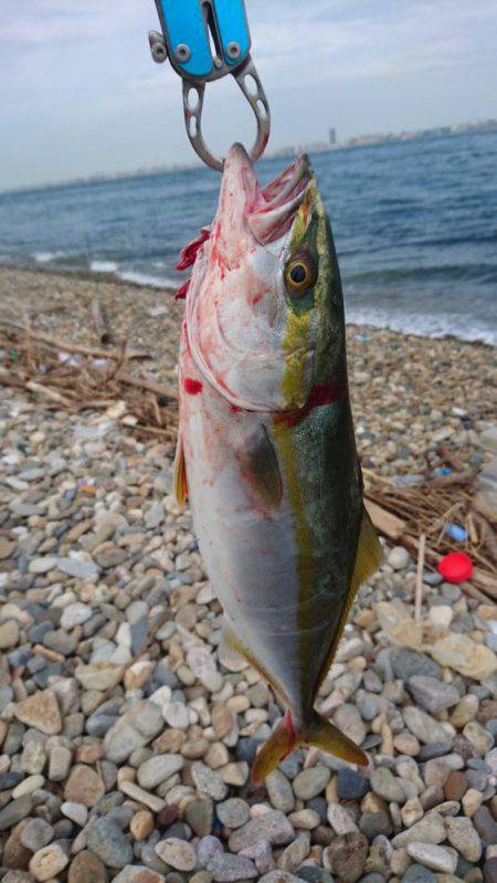 釣り船だらけ 。。。