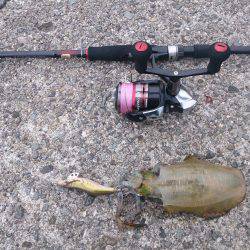 遊びすぎやで(笑)