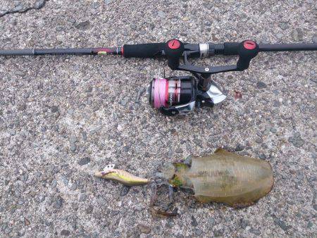 遊びすぎやで(笑)