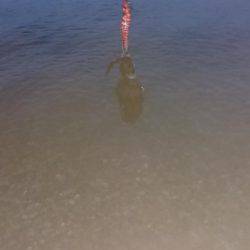 リリースつづく