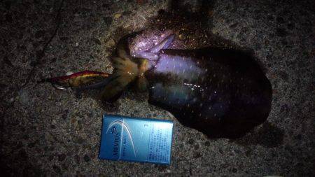 立派に育ってますよ！