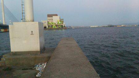 かもめ大橋釣果