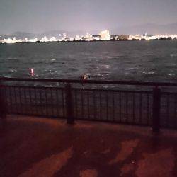 タチウオうき釣り ~３時間釣行~