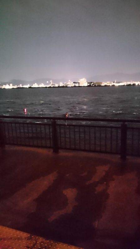 タチウオうき釣り ~３時間釣行~