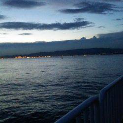 南港うおつり園釣果!!