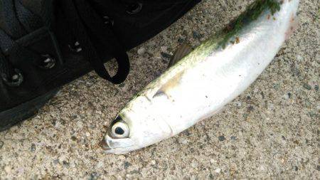 ゲリラ豪雨直撃