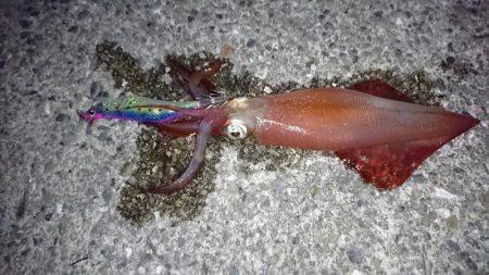 ひとヒトひと…