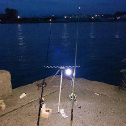 投げ釣り、キス釣り