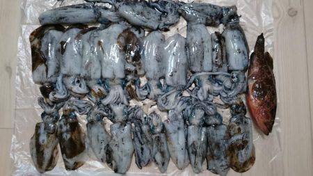 走り回って当たりポイント!