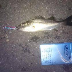 チーバスチビレ