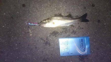 チーバスチビレ