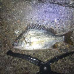 ワインドできず…