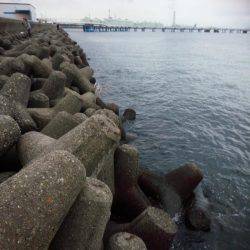 太刀魚うおー！