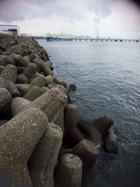 太刀魚うおー！