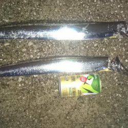 タチウオ短時間狙いで