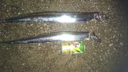 タチウオ短時間狙いで