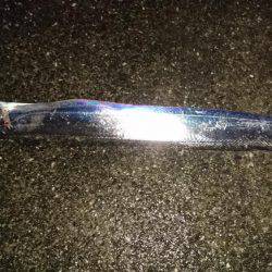 大雨短時間釣行