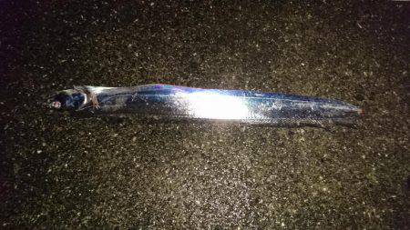 大雨短時間釣行