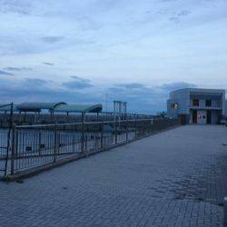 いつもヤエンですがエギング釣行