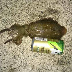 久しぶりのヤエン