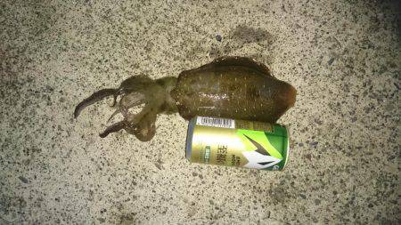 久しぶりのヤエン