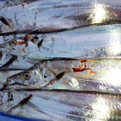 今年初南港。。