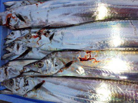 今年初南港。。