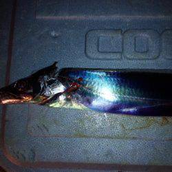 リベンジ　コスモスクエア