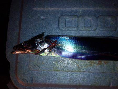 リベンジ　コスモスクエア