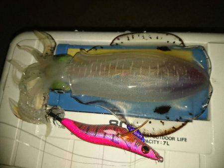 早朝サーフエギング