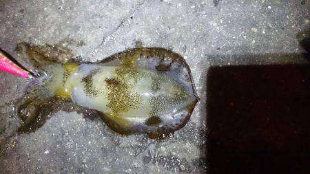 渋かったです。