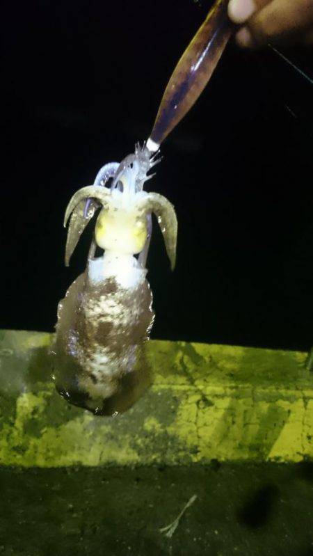 雨にも負けず。