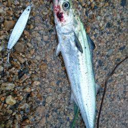 台風後のサーフで